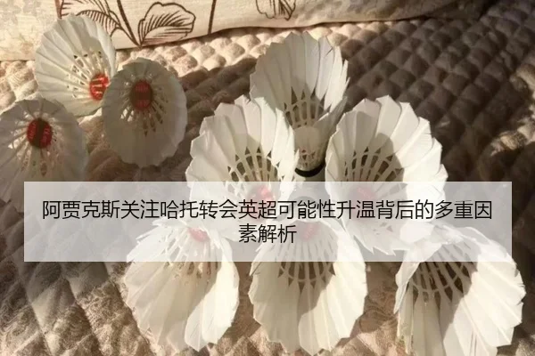 阿贾克斯关注哈托转会英超可能性升温背后的多重因素解析 - kaiyun