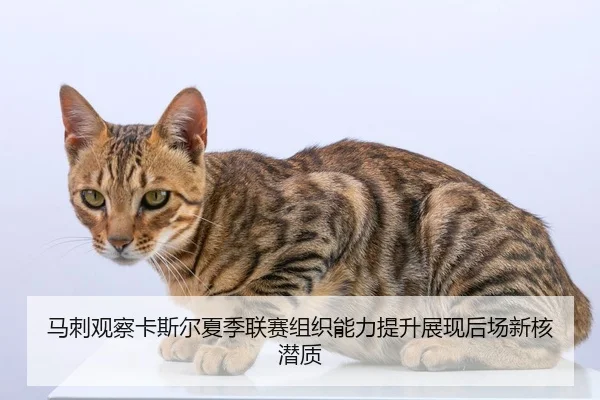 马刺观察卡斯尔夏季联赛组织能力提升展现后场新核潜质