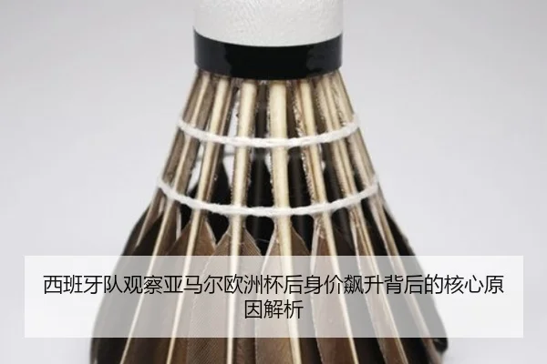 西班牙队观察亚马尔欧洲杯后身价飙升背后的核心原因解析 - kaiyun
